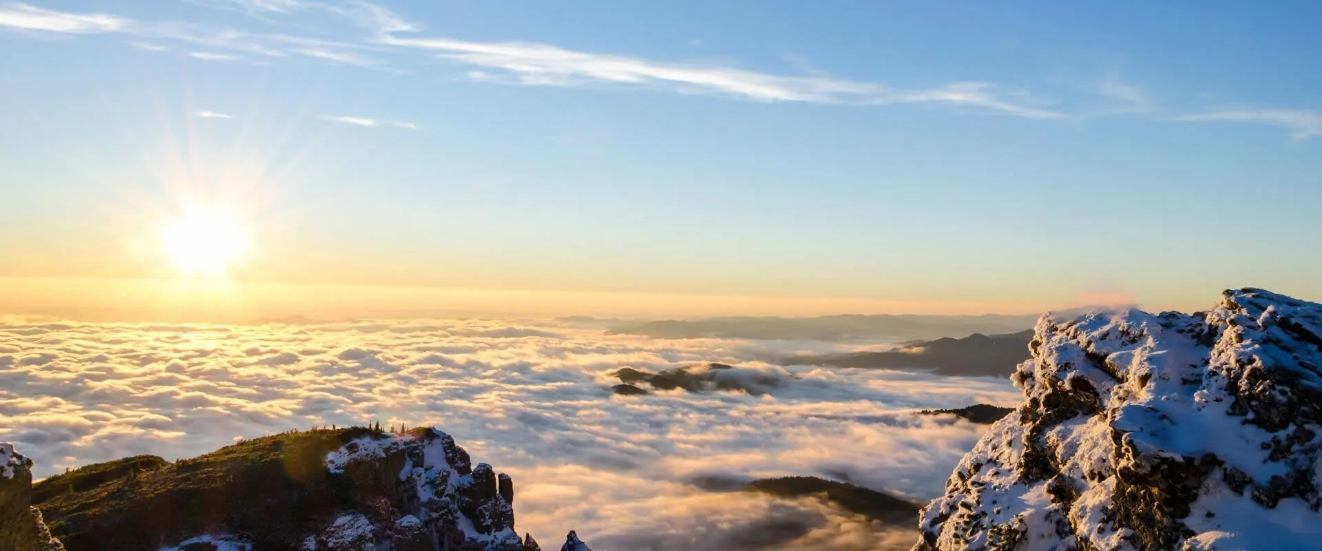 La reputazione positiva dei nostri articoli parla da sola.